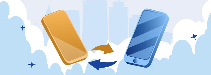 Portabilidad Numérica